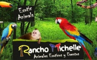 dabc434549d80d8d09e61e03ac4a4c32