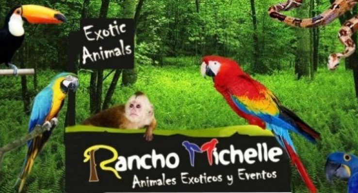 dabc434549d80d8d09e61e03ac4a4c32