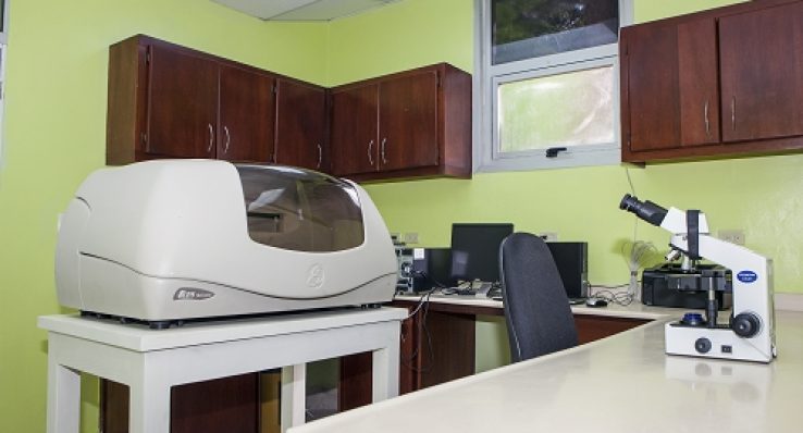 dd8717d03149543c5feef7a66595fa19