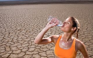 e083ac4df288f0b9f03ec1adbe79e026