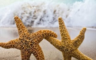 e1a5260e14d121b13781ae5a05e2a9ed e1a5260e14d121b13781ae5a05e2a9ed