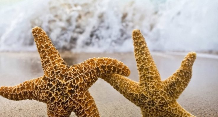 e1a5260e14d121b13781ae5a05e2a9ed e1a5260e14d121b13781ae5a05e2a9ed