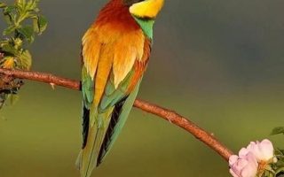 e1ef6b1511175103949b82a229ea0710