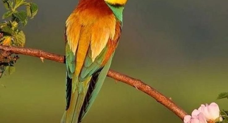 e1ef6b1511175103949b82a229ea0710