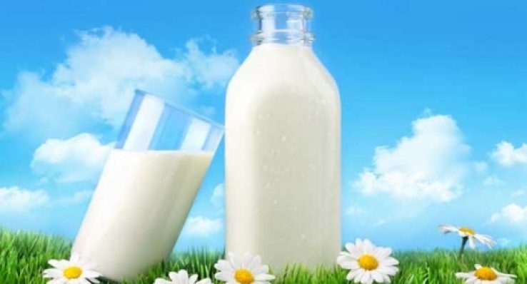 e5979f6514c1887179033c613e3a4b50