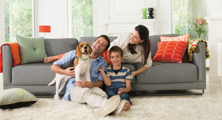 e7d681ddc0174087ad0e36dc718519dd