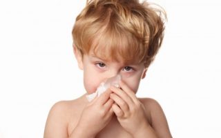 edb573a17581af3290eff07627fcedd0