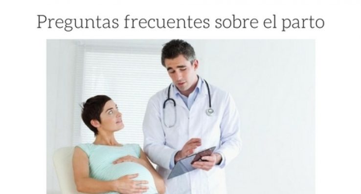 f8caa88166540a4fca61e38d6e528875