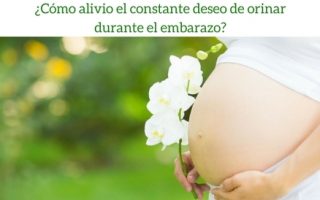 f97ac2be907fe5bc2ac21cbb3aacf027