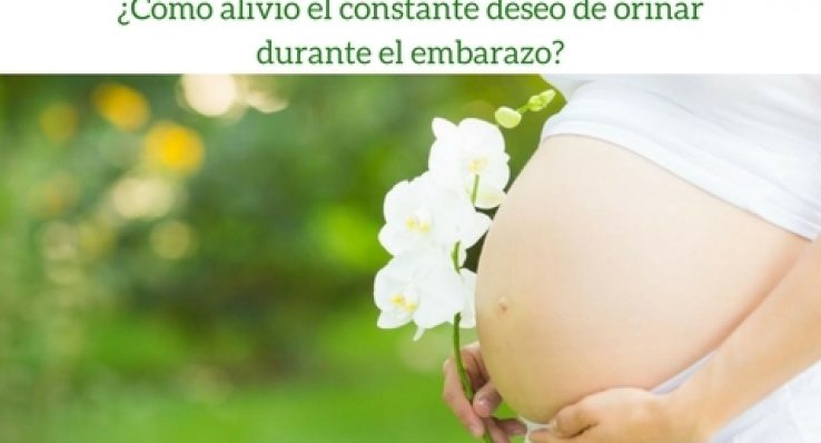 f97ac2be907fe5bc2ac21cbb3aacf027