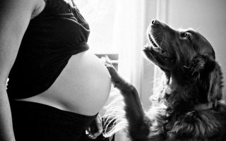 f9fefdb1da7da5688110909fa3039dab f9fefdb1da7da5688110909fa3039dab