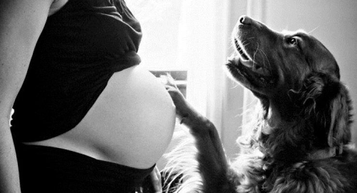 f9fefdb1da7da5688110909fa3039dab f9fefdb1da7da5688110909fa3039dab