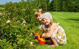 fac9770ae986695c80dfb6c58f312f32