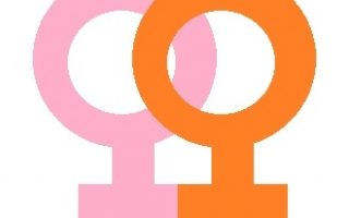 fb5c27012bf7bd2b528a5fe03304bd91