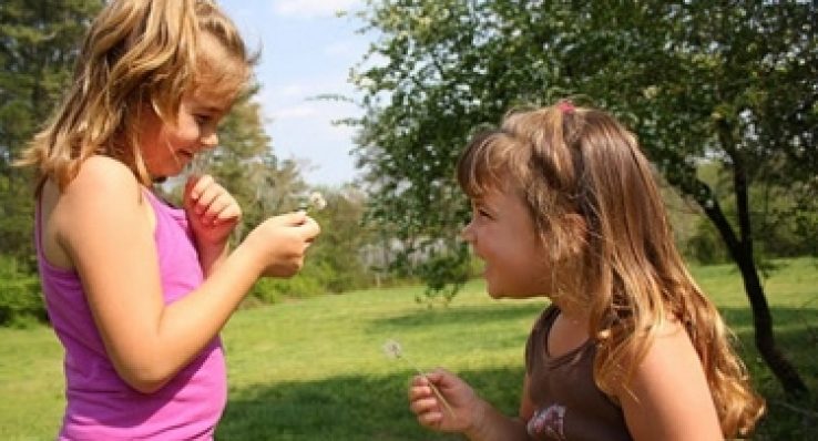 fd276238890ff4fd4fd30b85b5b67400