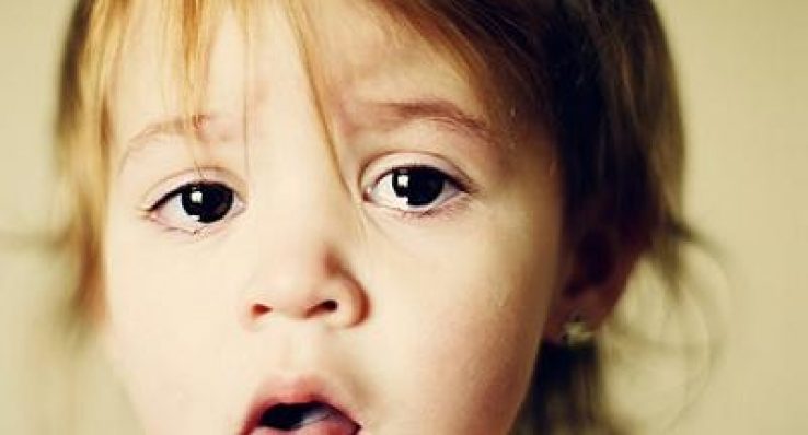 fd6c1bb5b0a1bed64c5dda3726185da3