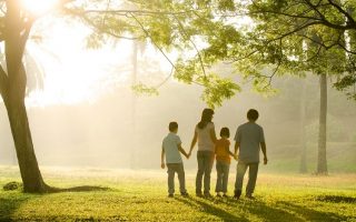 fdcdab7b883db46c6461d37dc1d99b74