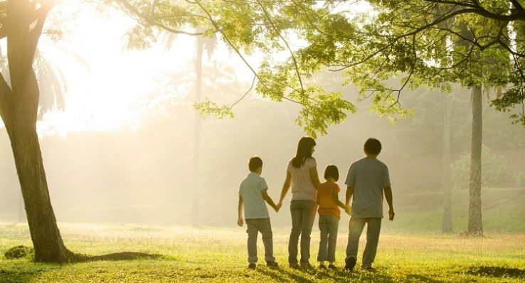 fdcdab7b883db46c6461d37dc1d99b74