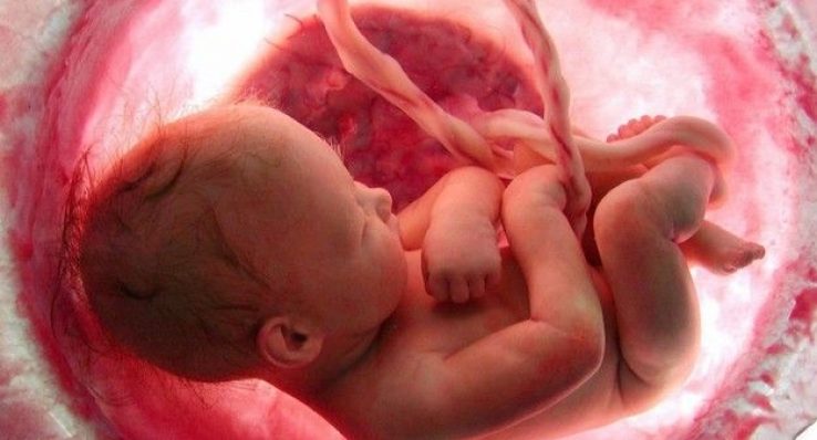 fde415699381776e109824569e233fb5